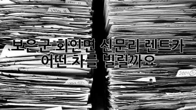 보은군 회인면 신문리 렌트카: 어떤 차를 빌릴까요?