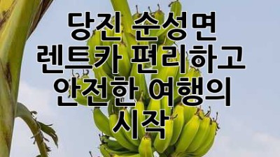 당진 순성면 렌트카: 편리하고 안전한 여행의 시작