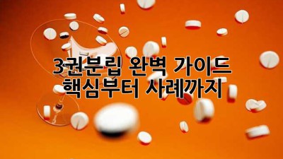 3권분립 완벽 가이드: 핵심부터 사례까지