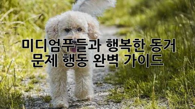 미디엄푸들과 행복한 동거: 문제 행동 완벽 가이드